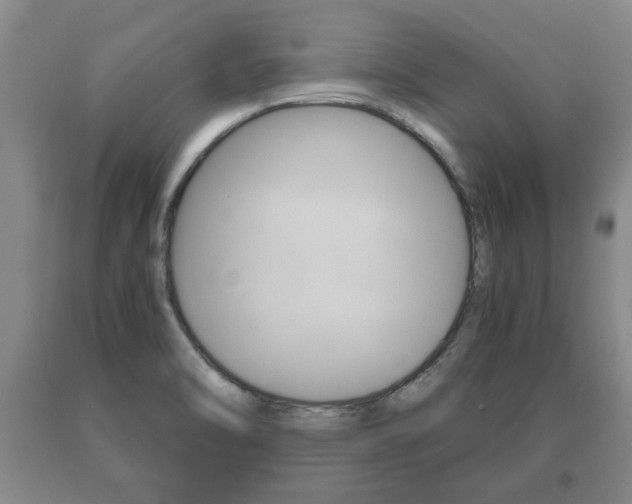 X0000091061470200708060949