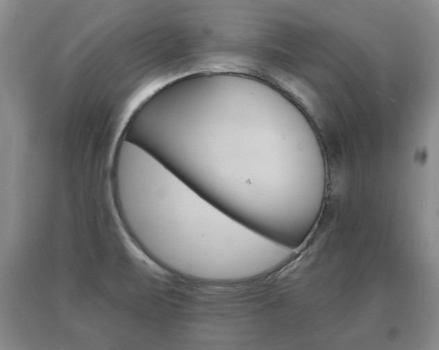 X0000091061471200708060949