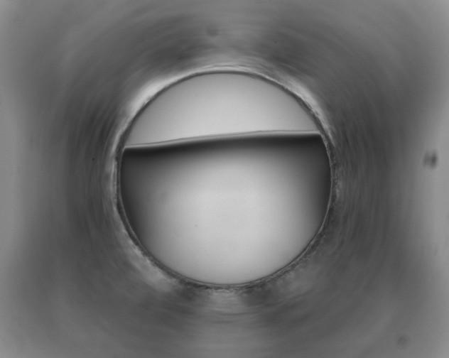 X0000091061472200708060949