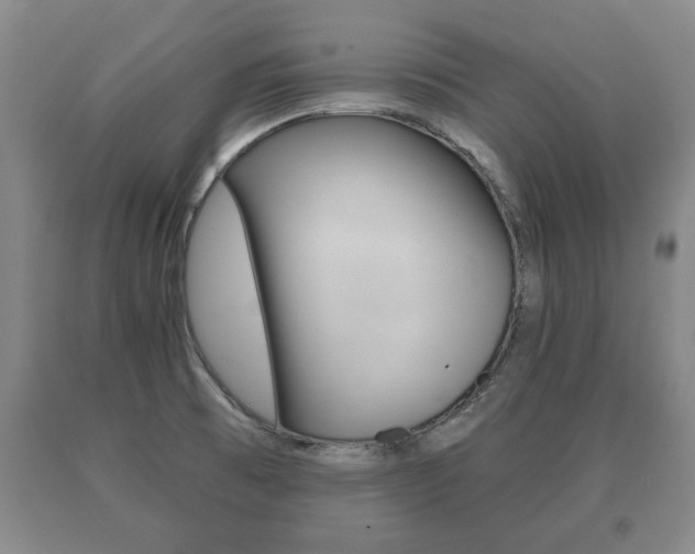 X0000091061473200708060949