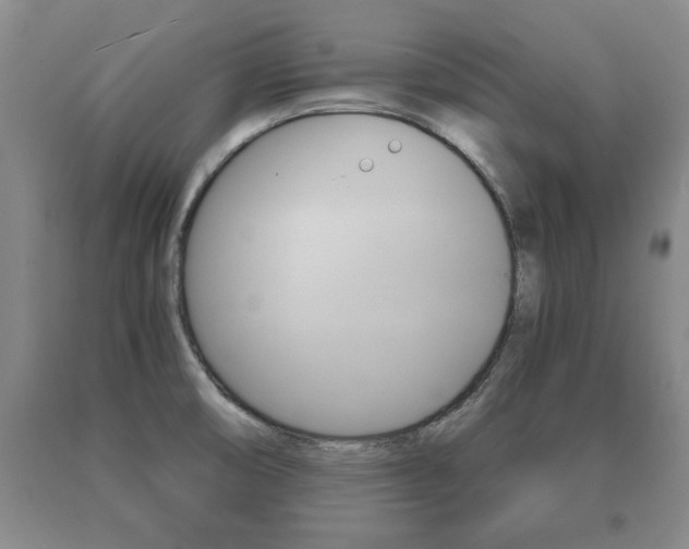 X0000091061474200708060949
