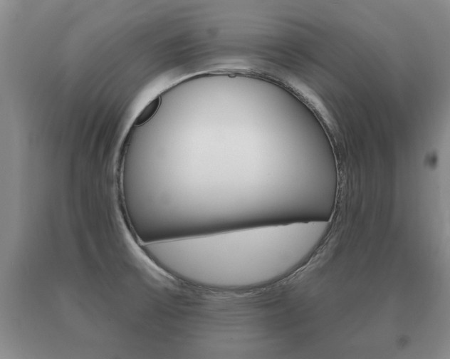 X0000091061475200708060949