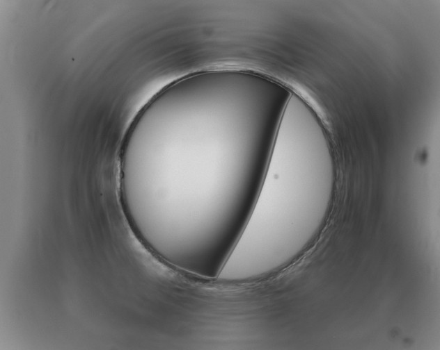 X0000091061476200708060949