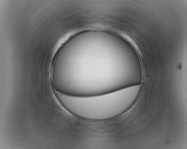 X0000091061477200708060949