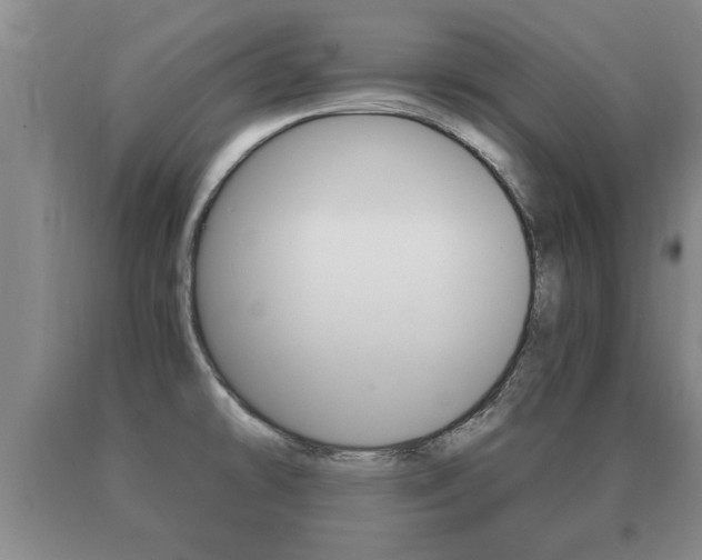 X0000091061478200708060948