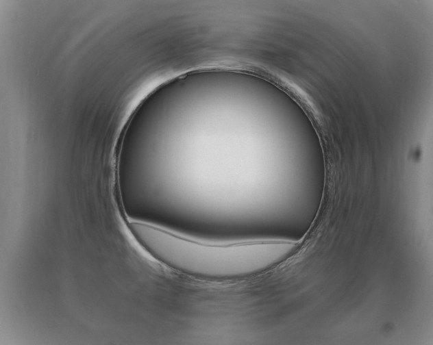 X0000091061479200708060948