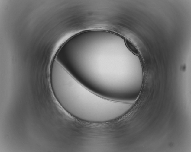 X0000091061480200708060948