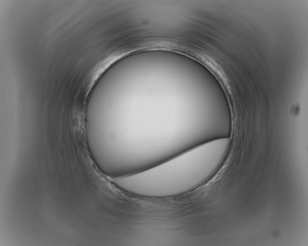 X0000091061481200708060948