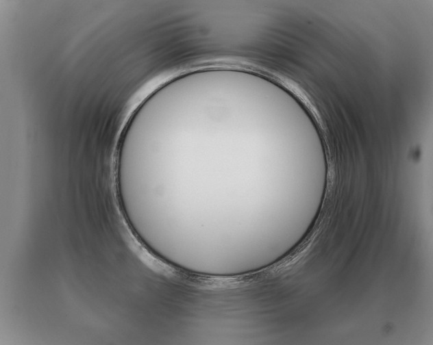 X0000091061482200708060948