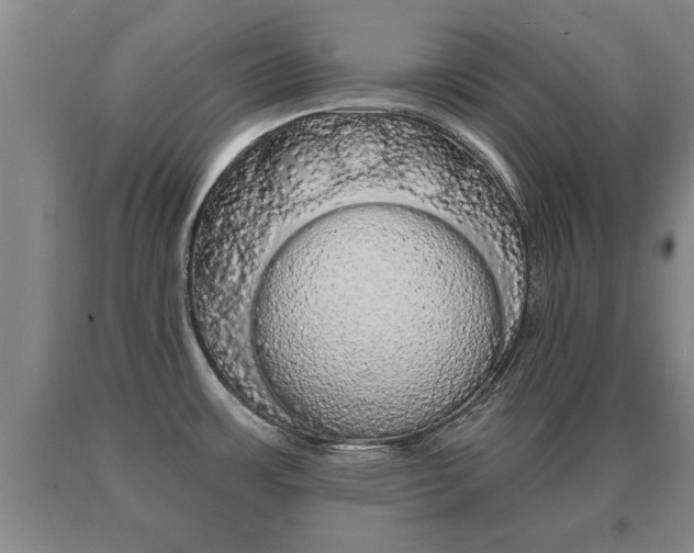 X0000091061483200708060948