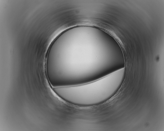 X0000091061484200708060948