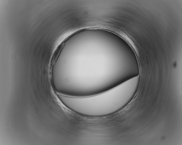 X0000091061485200708060948