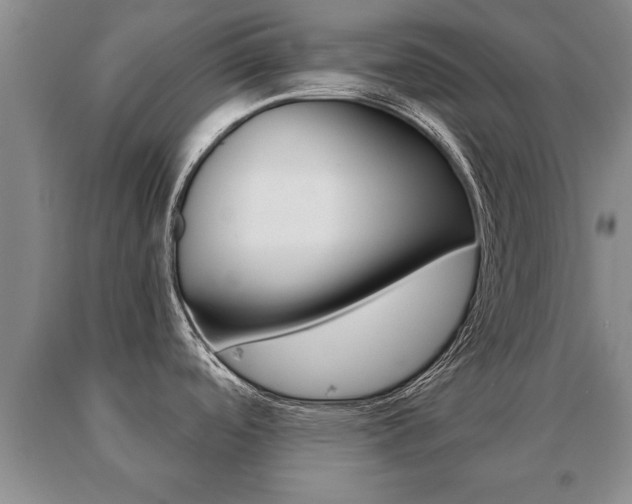 X0000091061488200708060948
