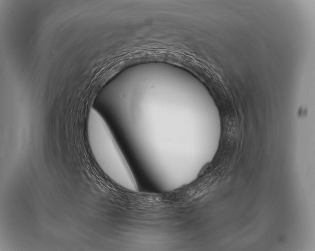 X0000091061489200708060948