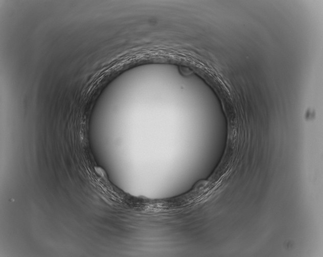X0000091061490200708060948