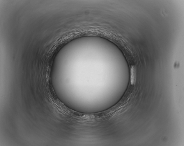 X0000091061491200708060948