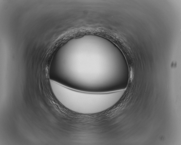 X0000091061492200708060948