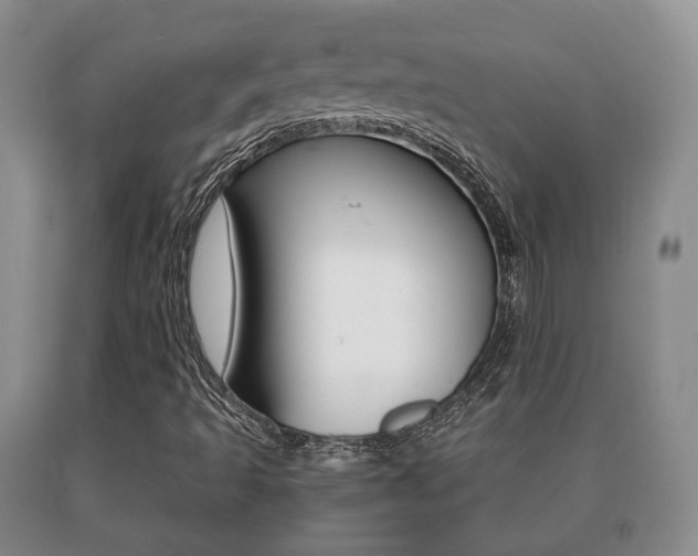 X0000091061493200708060948