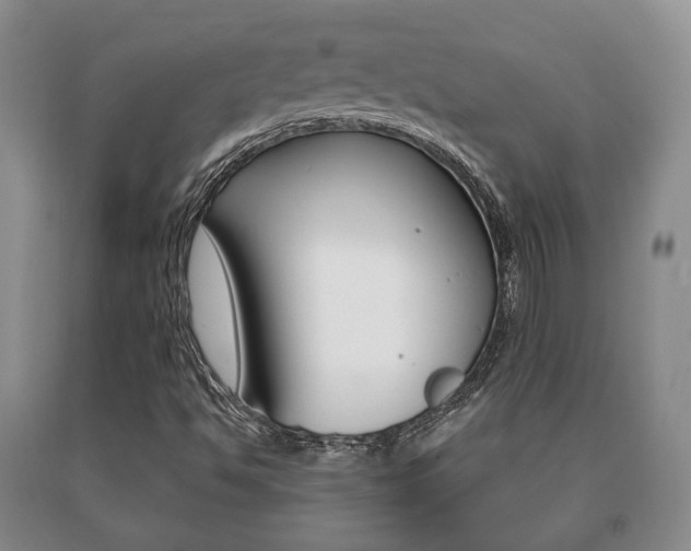 X0000091061494200708060948