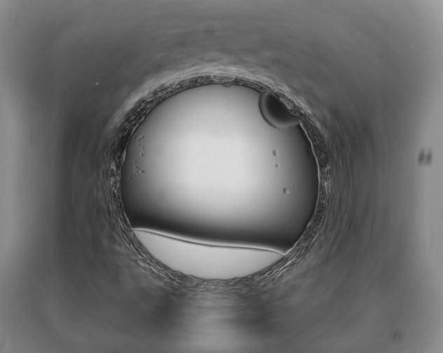 X0000091061495200708060948