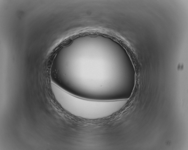 X0000091061496200708060948