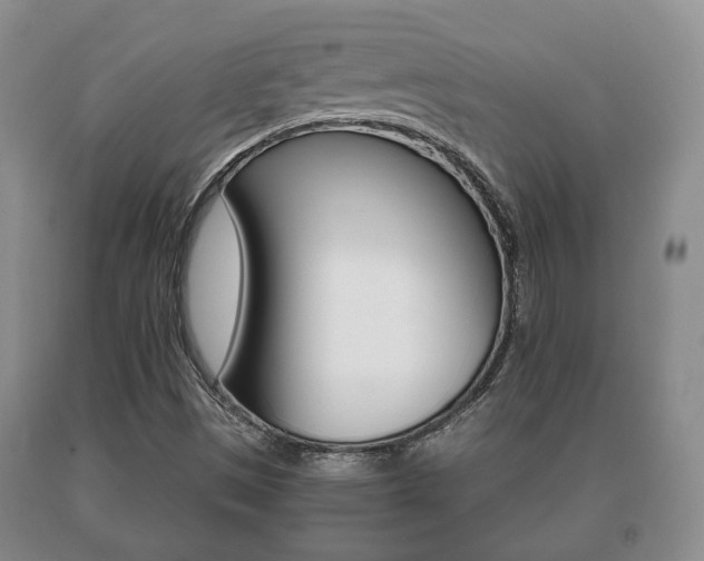 X0000091061497200708060948