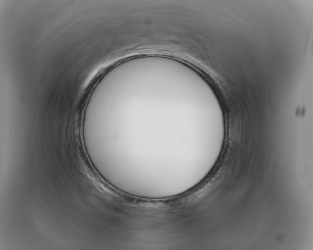 X0000091061498200708060948