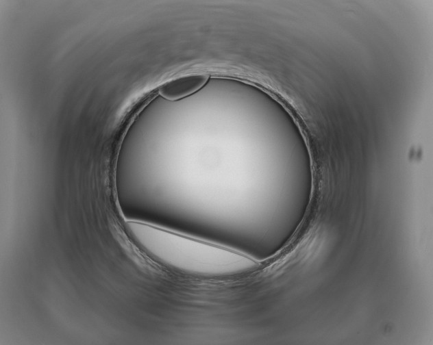 X0000091061499200708060948