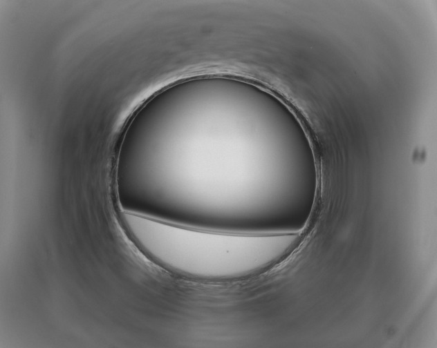 X0000091061500200708060948