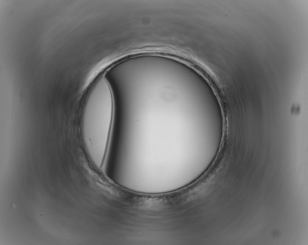 X0000091061501200708060948