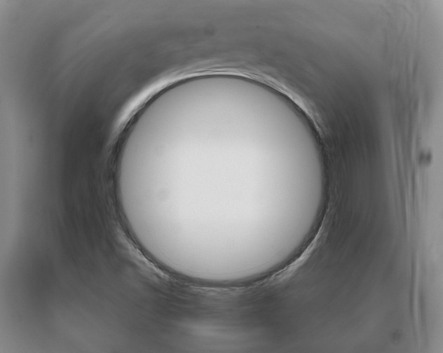 X0000091061502200708060948