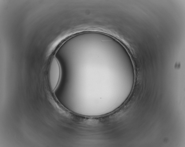 X0000091061503200708060948