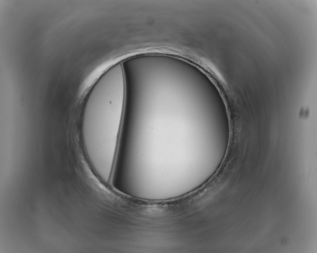 X0000091061504200708060948