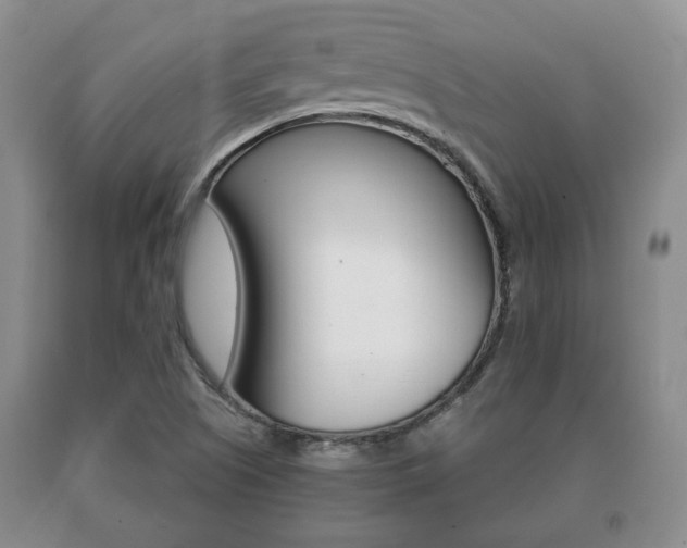 X0000091061505200708060948
