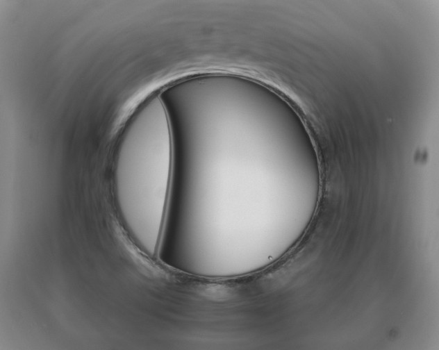 X0000091061507200708060948