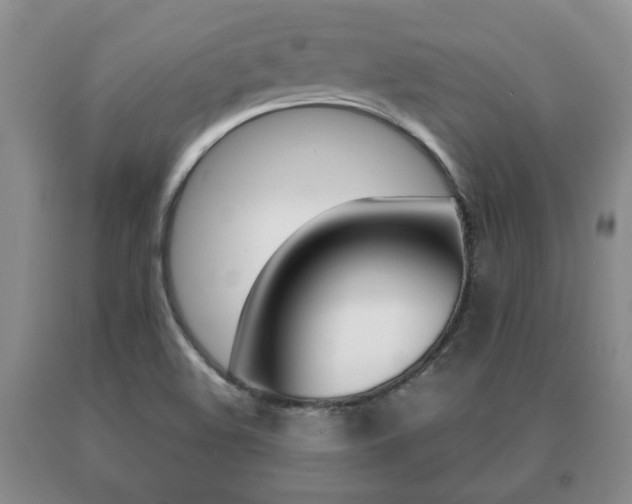X0000091061508200708060948