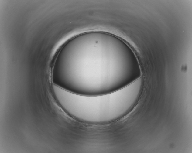X0000091061510200708060948