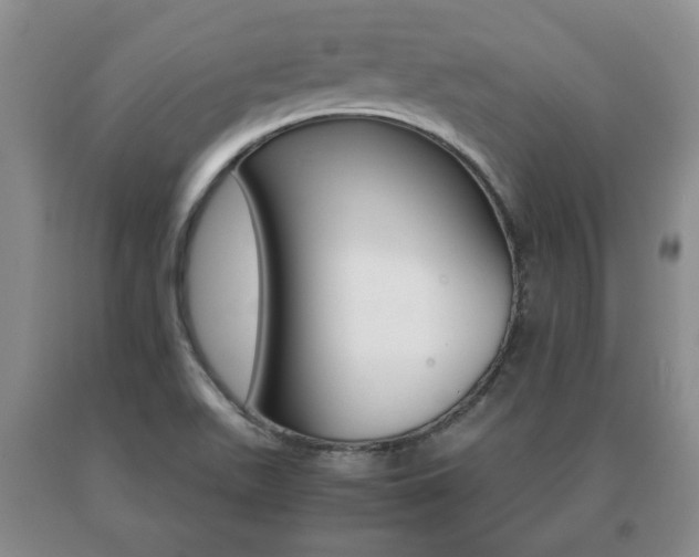 X0000091061511200708060948