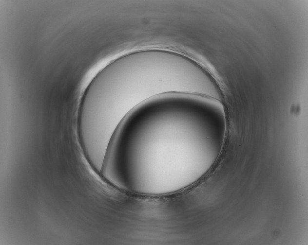 X0000091061512200708060948