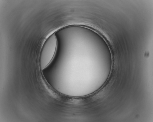 X0000091061513200708060948