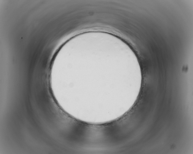 X0000091061514200708060948