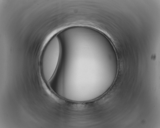 X0000091061515200708060948