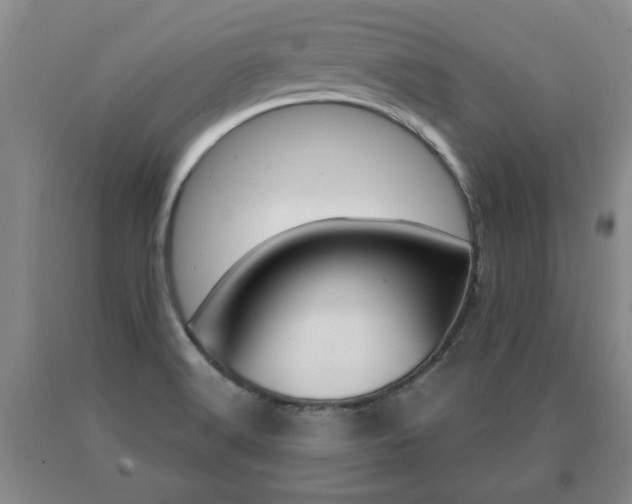 X0000091061516200708060948
