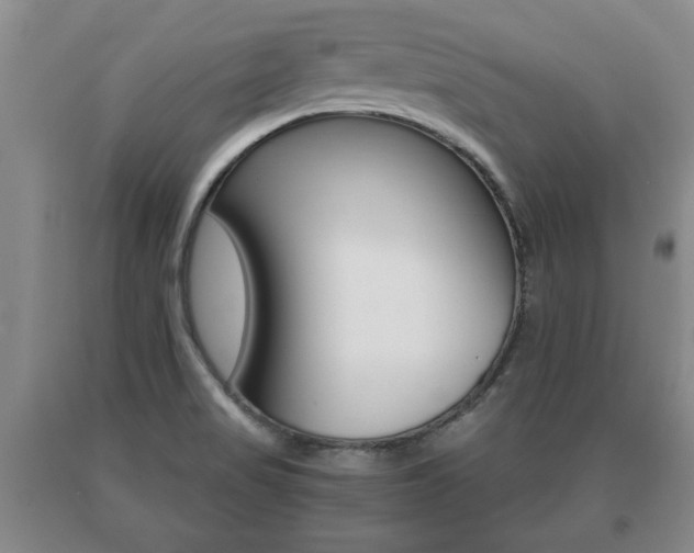 X0000091061517200708060948