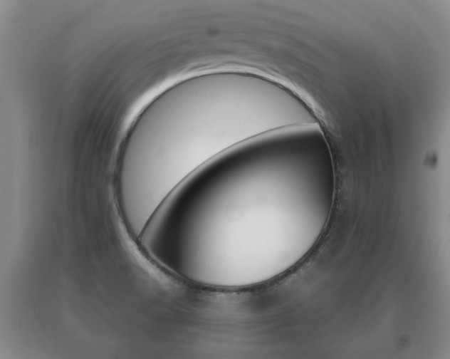 X0000091061518200708060948