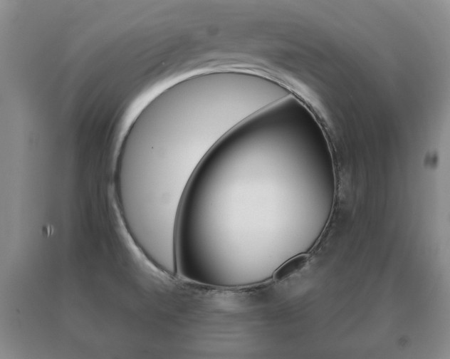 X0000091061520200708060948