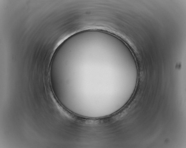 X0000091061521200708060948