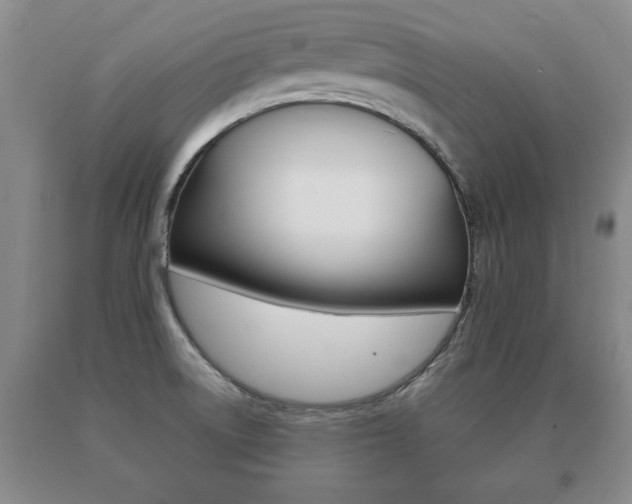 X0000091061522200708060948