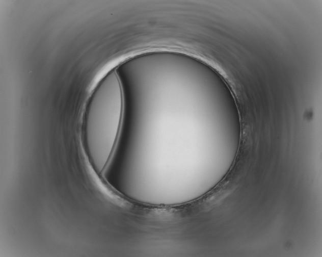 X0000091061523200708060948