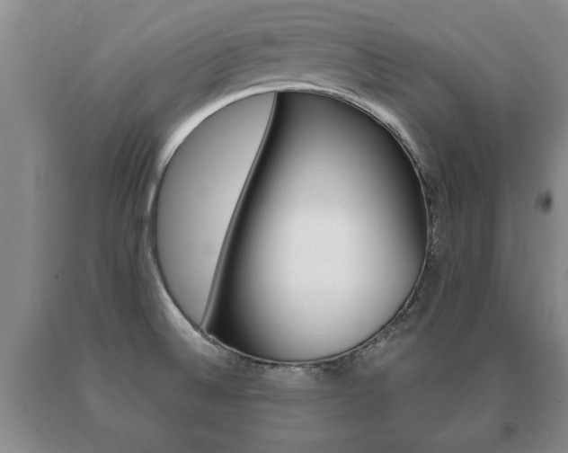 X0000091061524200708060948